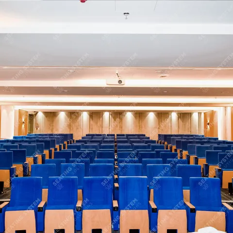 AlRiyada College Auditorium Lecture Halls 